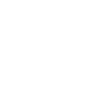 Christmas Tree Specialists Video Icon