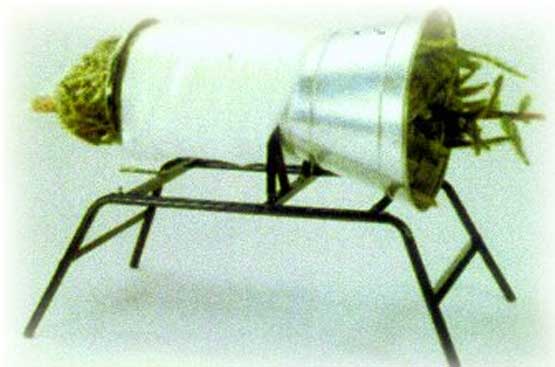 Christmas Tree Packing Machine